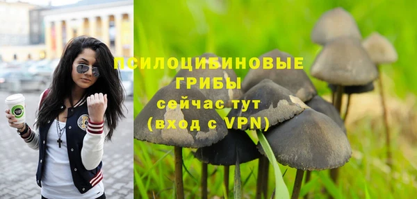 крисы Волоколамск