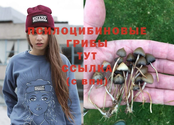 амфетамин Володарск