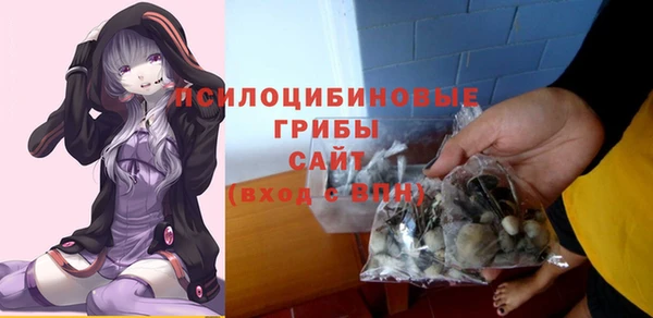крисы Волоколамск