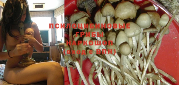 мдпв Волосово