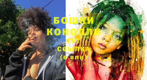мдпв Волосово