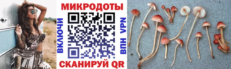где можно купить наркотик  Назарово  Псилоцибиновые грибы Psilocybine cubensis 