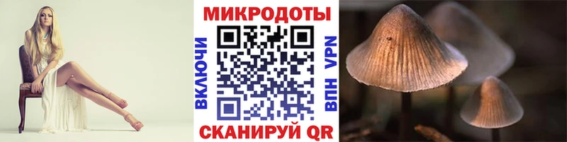 Псилоцибиновые грибы мицелий Назарово